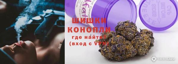 прущая мука Вяземский