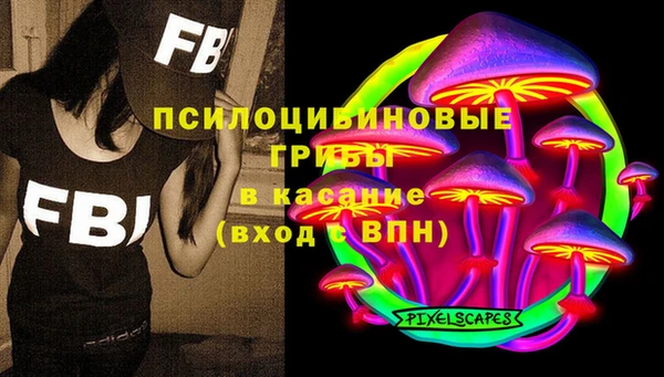 прущая мука Вяземский