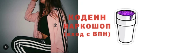 прущая мука Вяземский