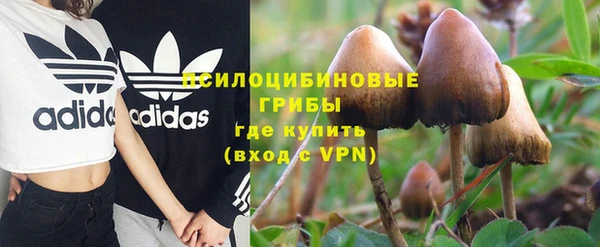 первитин Вязьма