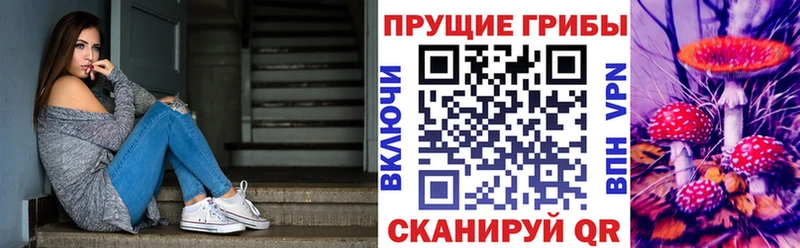 Псилоцибиновые грибы мицелий  Купить закладки  Семилуки 